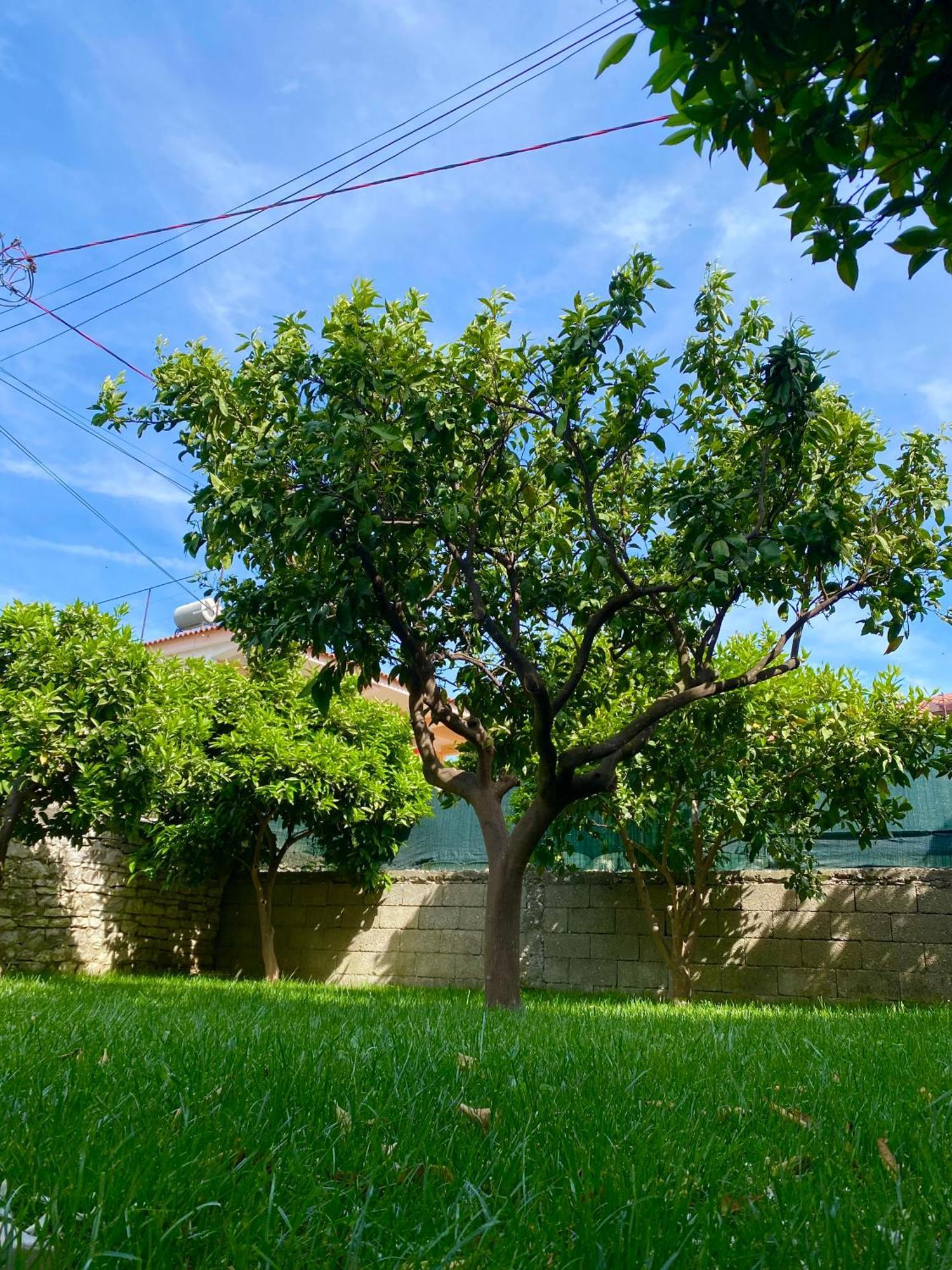 Villa Berat Exterior photo